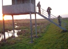Picture 020